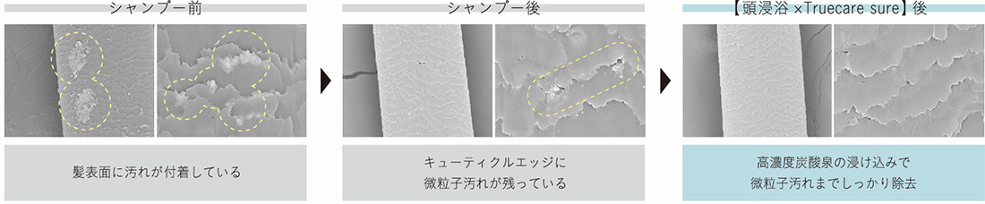 炭素の力で汚れを取り除く